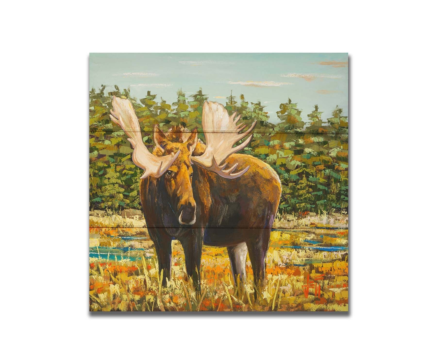 A painting of a moose standing in a bright yellow and orange field, dotted with blue puddles. An evergreen forest borders this Gunflint Trail field in Minnesota. Printed on a box board.