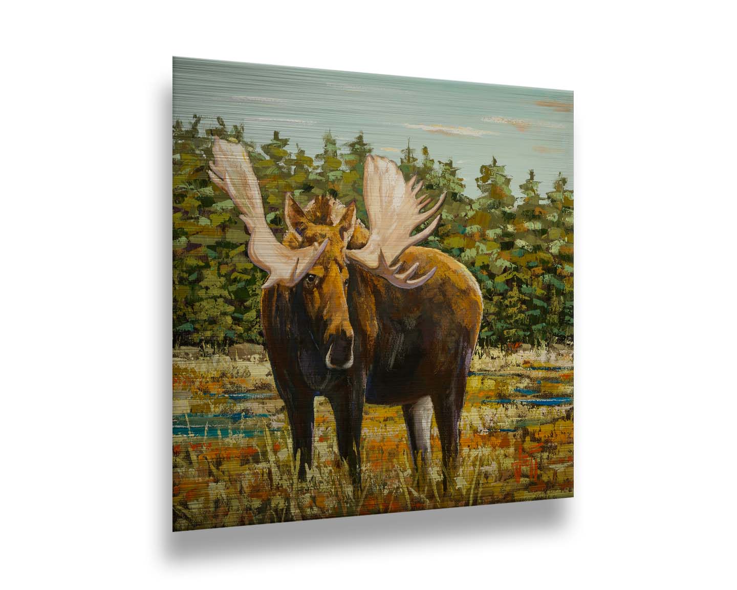 A painting of a moose standing in a bright yellow and orange field, dotted with blue puddles. An evergreen forest borders this Gunflint Trail field in Minnesota. Printed on metal.