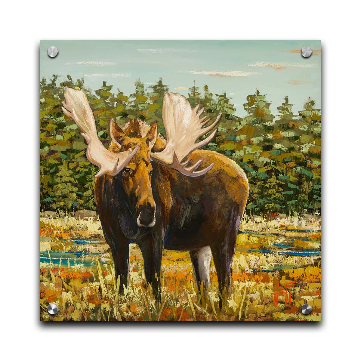 A painting of a moose standing in a bright yellow and orange field, dotted with blue puddles. An evergreen forest borders this Gunflint Trail field in Minnesota. Printed on acrylic.