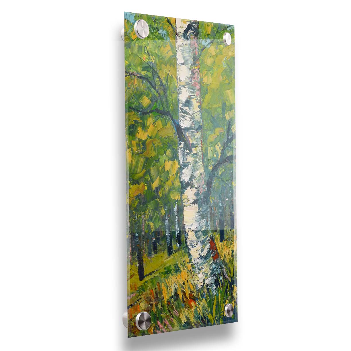 A textured painting, applied with thick brush strokes and palette knives, depicting a white birch trunk on a slight green hill. The stark white bark is contrasted by the vibrant green leaves of the rest of the birch forest in the background. Printed on acrylic.