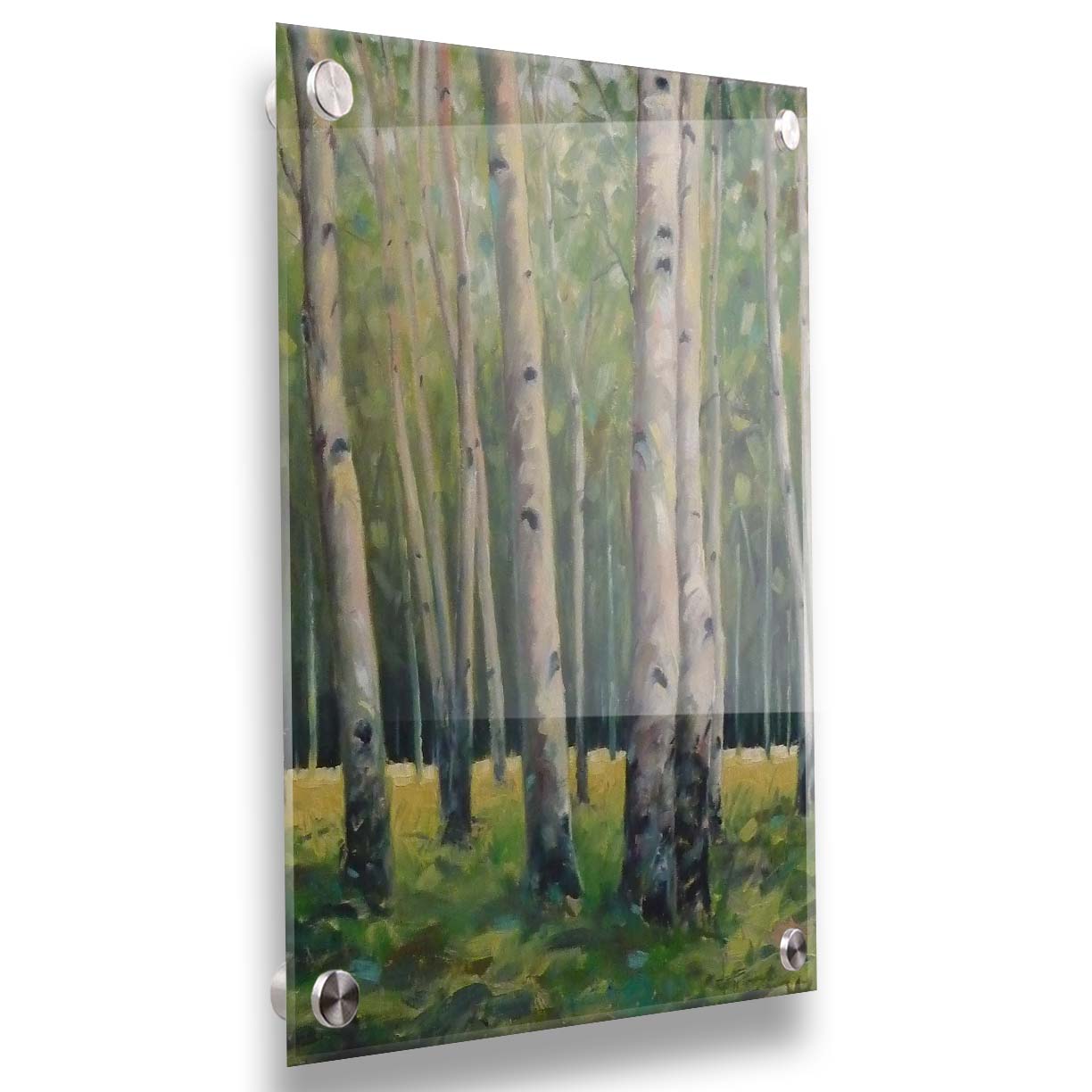 A soft painting of a green forest. Pale brown trunks scatter across the landscape, filling the space with bark and leaves. Printed on acrylic.