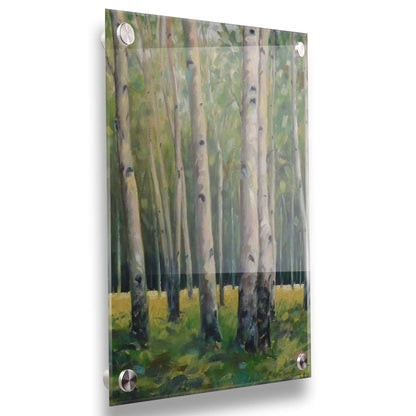 A soft painting of a green forest. Pale brown trunks scatter across the landscape, filling the space with bark and leaves. Printed on acrylic.