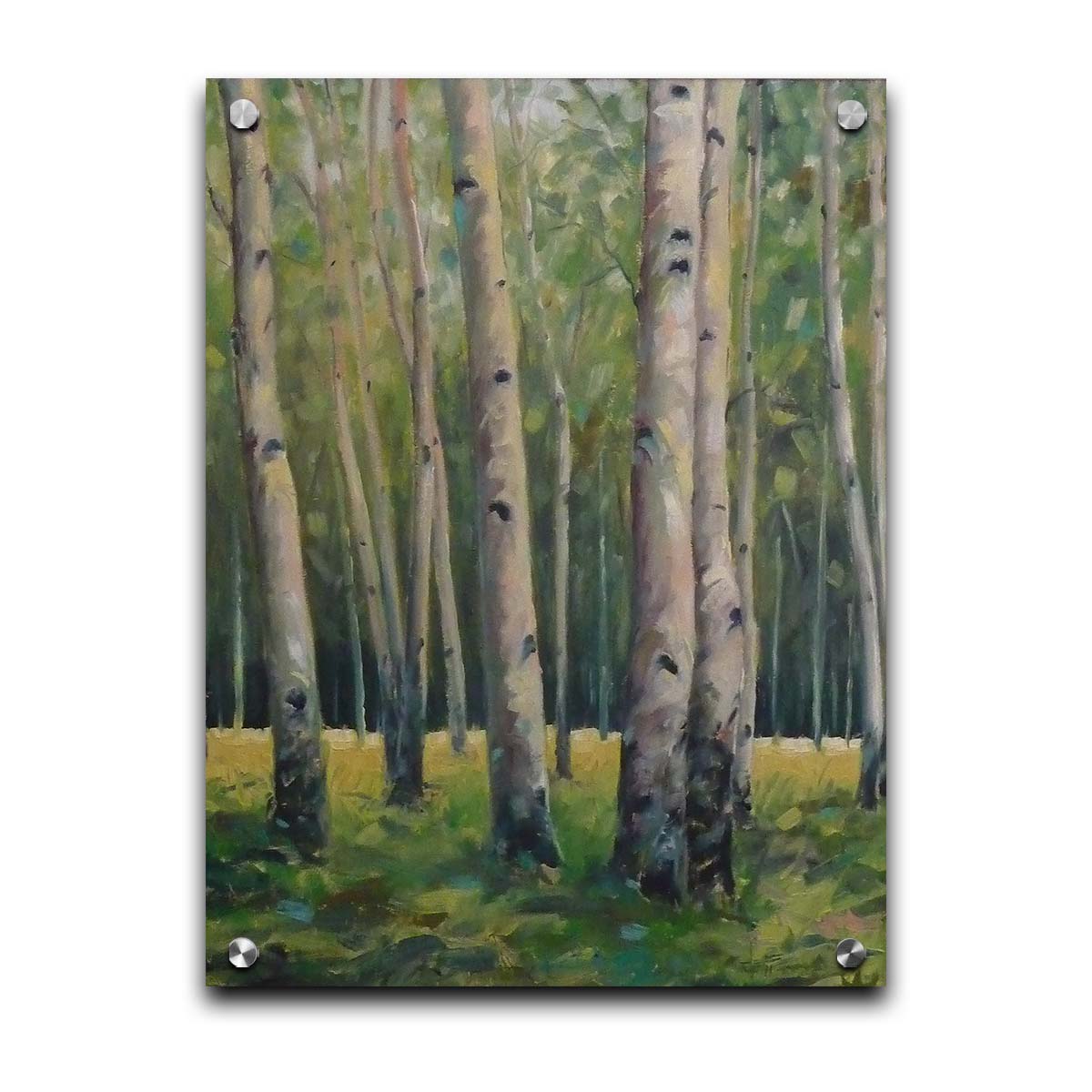 A soft painting of a green forest. Pale brown trunks scatter across the landscape, filling the space with bark and leaves. Printed on acrylic.