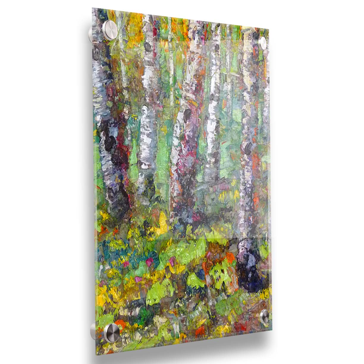 An expressive impasto painting of a birch forest in a bright, colorful scene. Printed on acrylic.