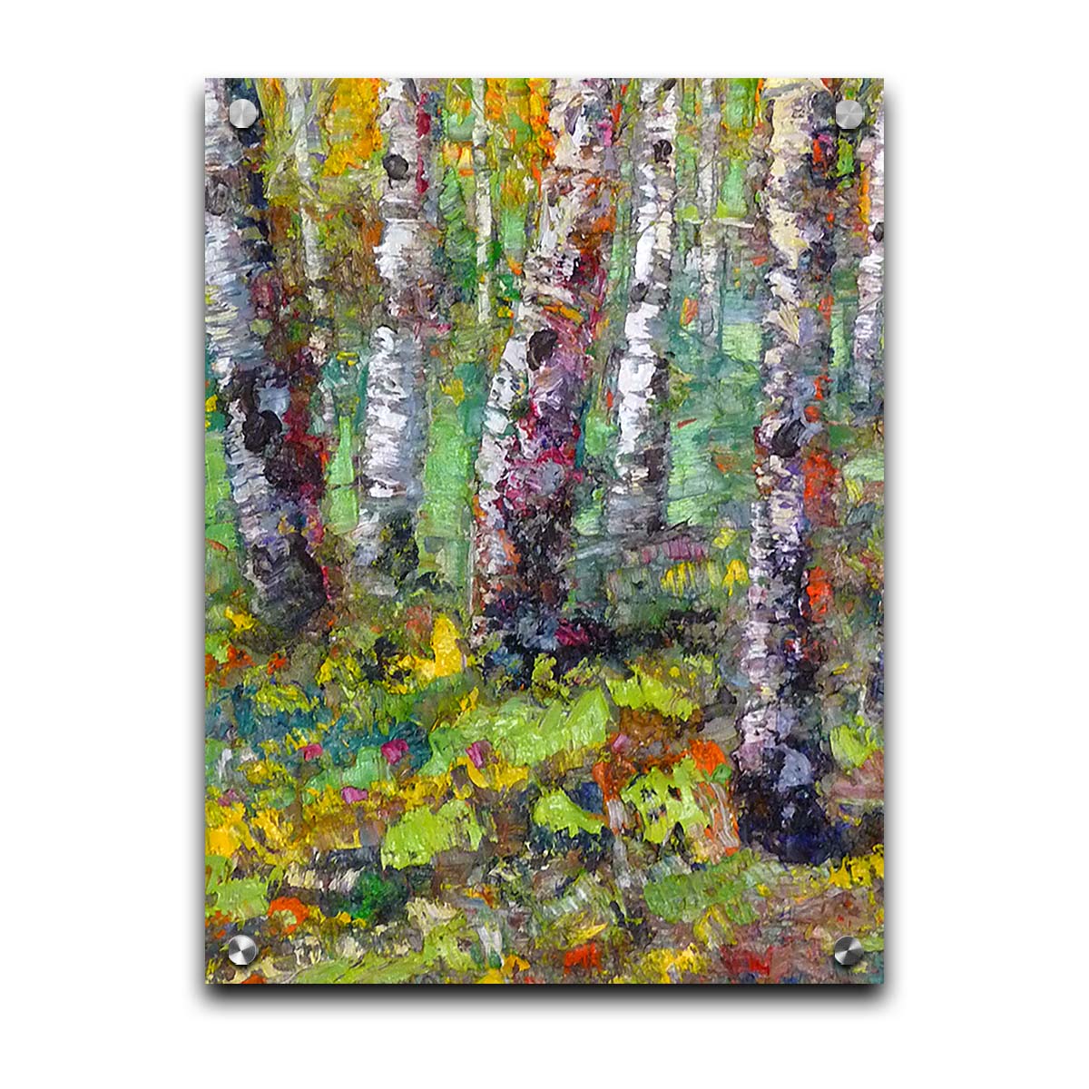 An expressive impasto painting of a birch forest in a bright, colorful scene. Printed on acrylic.