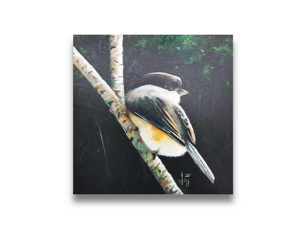 A painting of a small chickadee bird, perched on a birch branch and contrasted by a dark green backdrop of foliage. Printed on canvas.