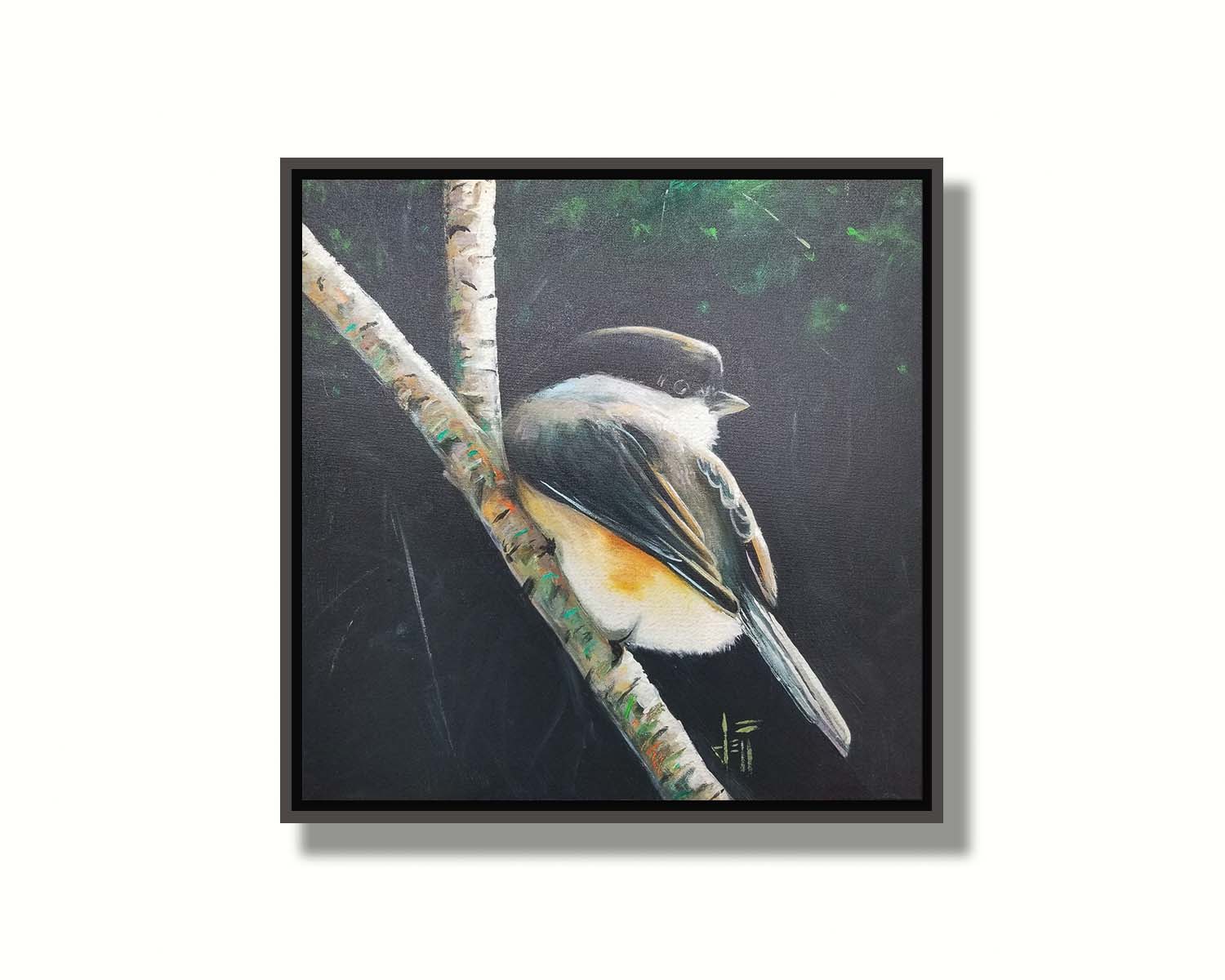 A painting of a small chickadee bird, perched on a birch branch and contrasted by a dark green backdrop of foliage. Printed on canvas in a float frame.