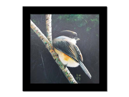 A painting of a small chickadee bird, perched on a birch branch and contrasted by a dark green backdrop of foliage. Printed on canvas and framed