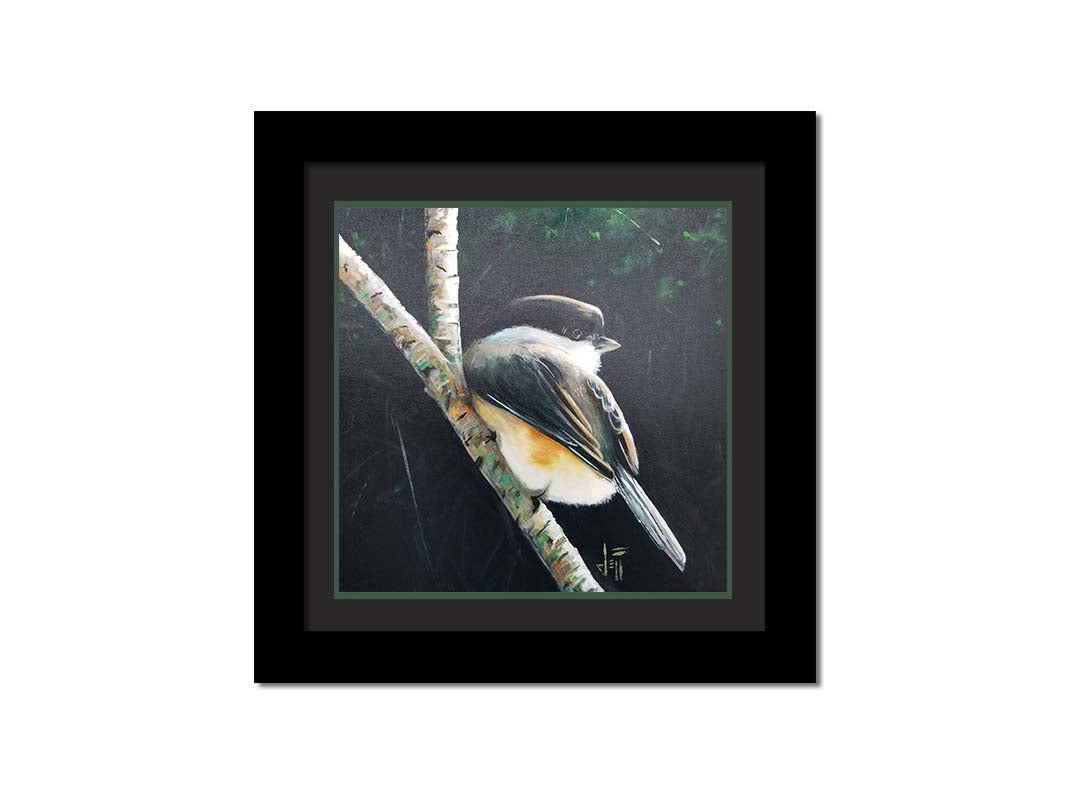 A painting of a small chickadee bird, perched on a birch branch and contrasted by a dark green backdrop of foliage. Printed on paper, matted, and framed.