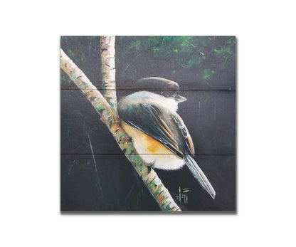 A painting of a small chickadee bird, perched on a birch branch and contrasted by a dark green backdrop of foliage. Printed on a box board.