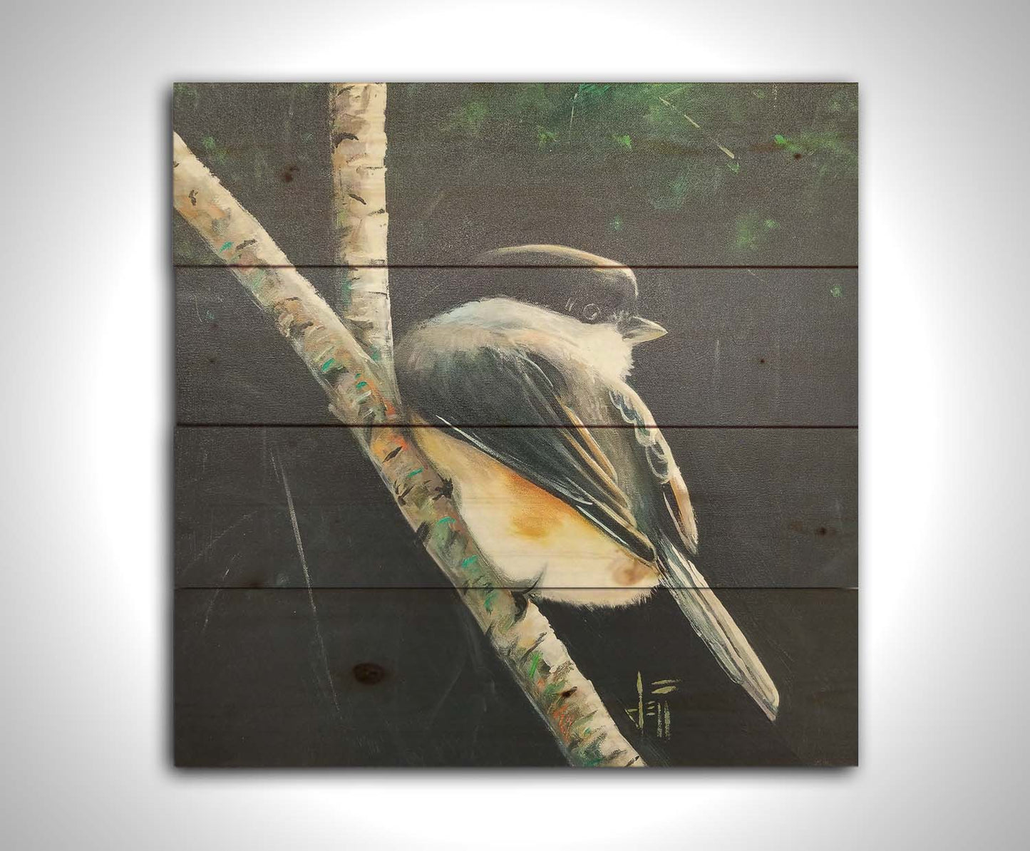 A painting of a small chickadee bird, perched on a birch branch and contrasted by a dark green backdrop of foliage. Printed on a wood pallet.