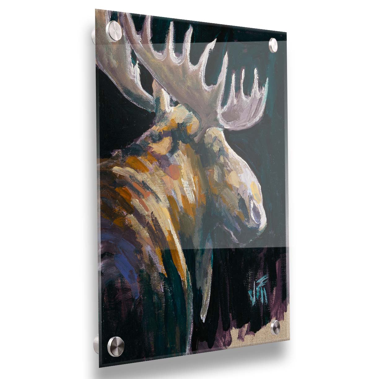 A textured painting of a brown moose against a black background. The yellowy hues of the fur's highlights are contrasted by indigo accented shadows. Printed on acrylic.