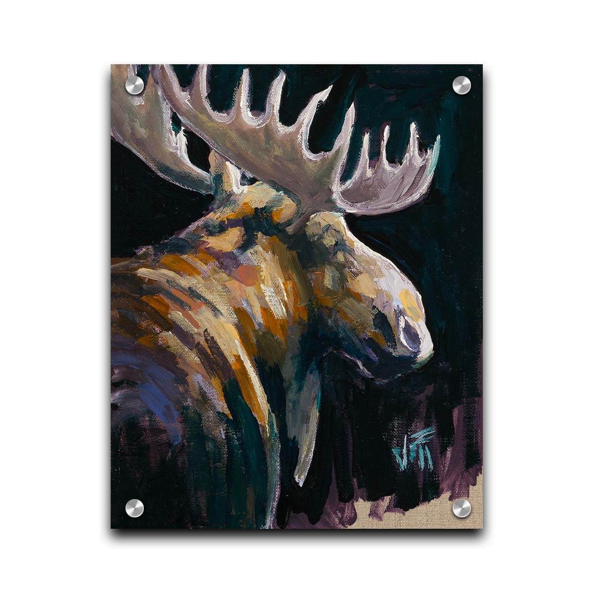 A textured painting of a brown moose against a black background. The yellowy hues of the fur's highlights are contrasted by indigo accented shadows. Printed on acrylic.