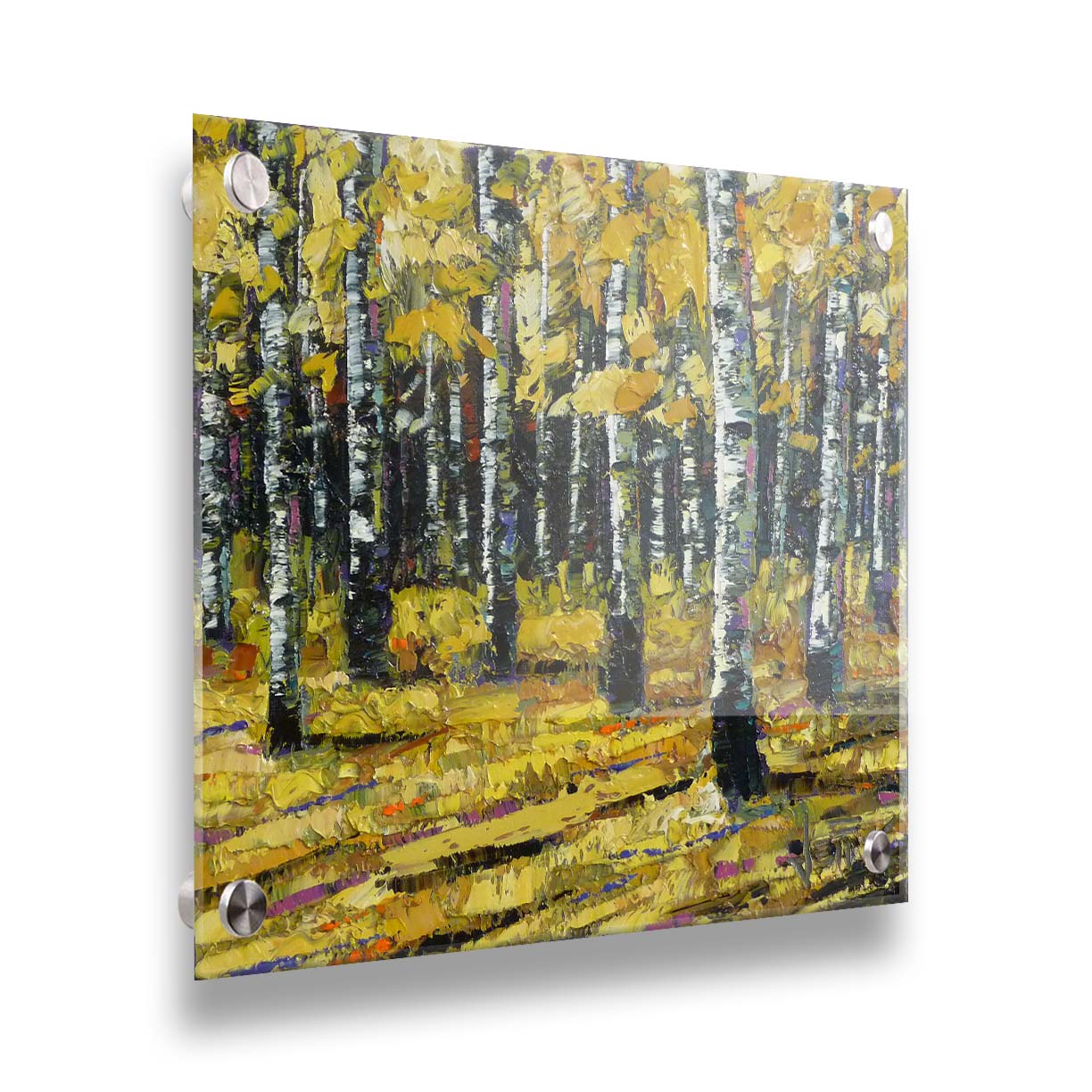 A painting of a dense forest of aspen trees, their bright yellow fall leaves matching the ground below.P rinted on acrylic.