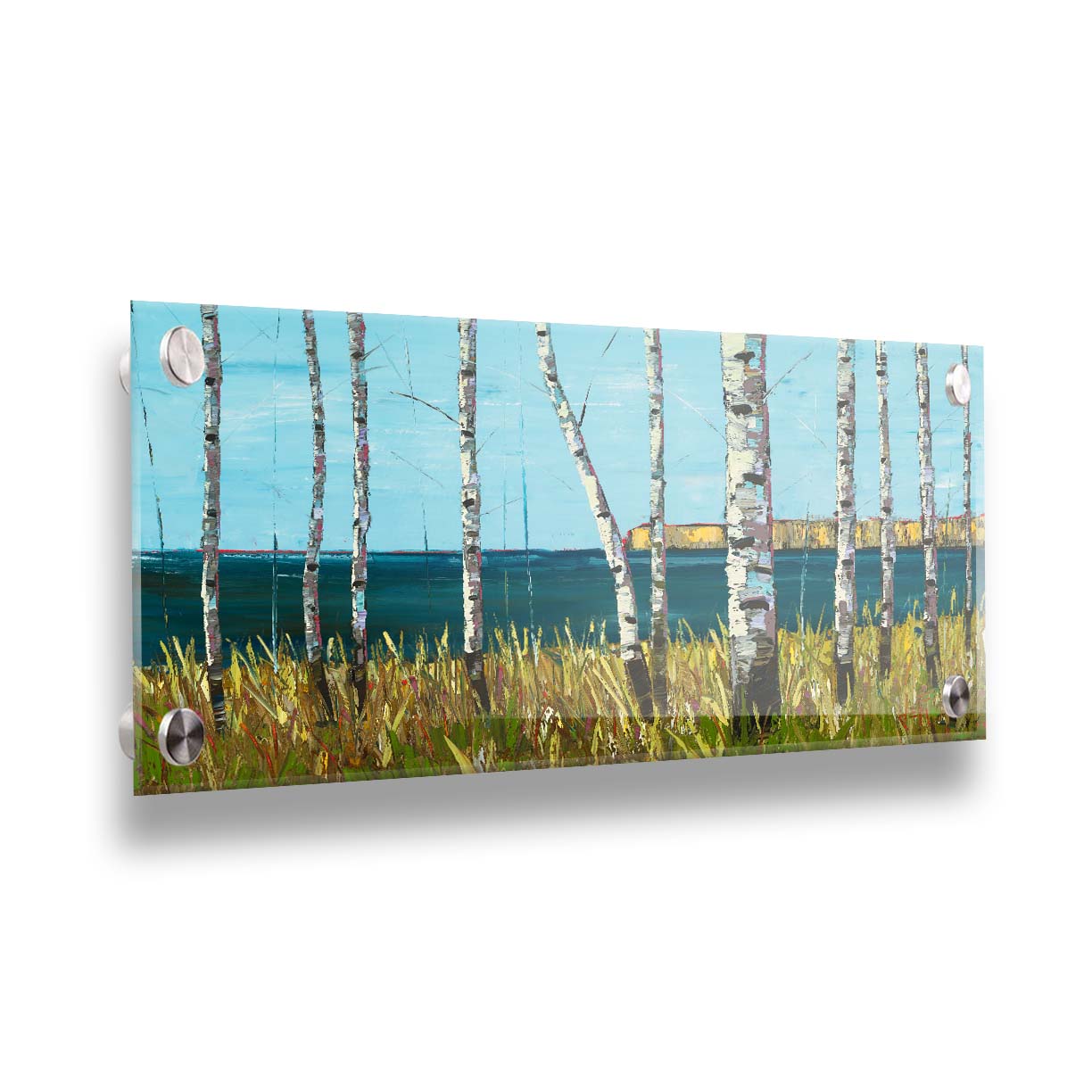 A painting of a serene cliff landscape with birch trees. A tranquil sea is in the background. Printed on acrylic.