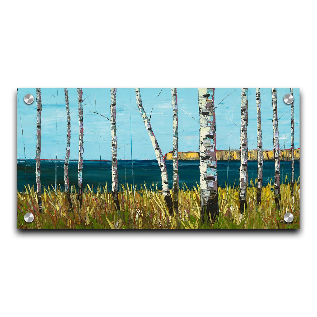 A painting of a serene cliff landscape with birch trees. A tranquil sea is in the background. Printed on acrylic.