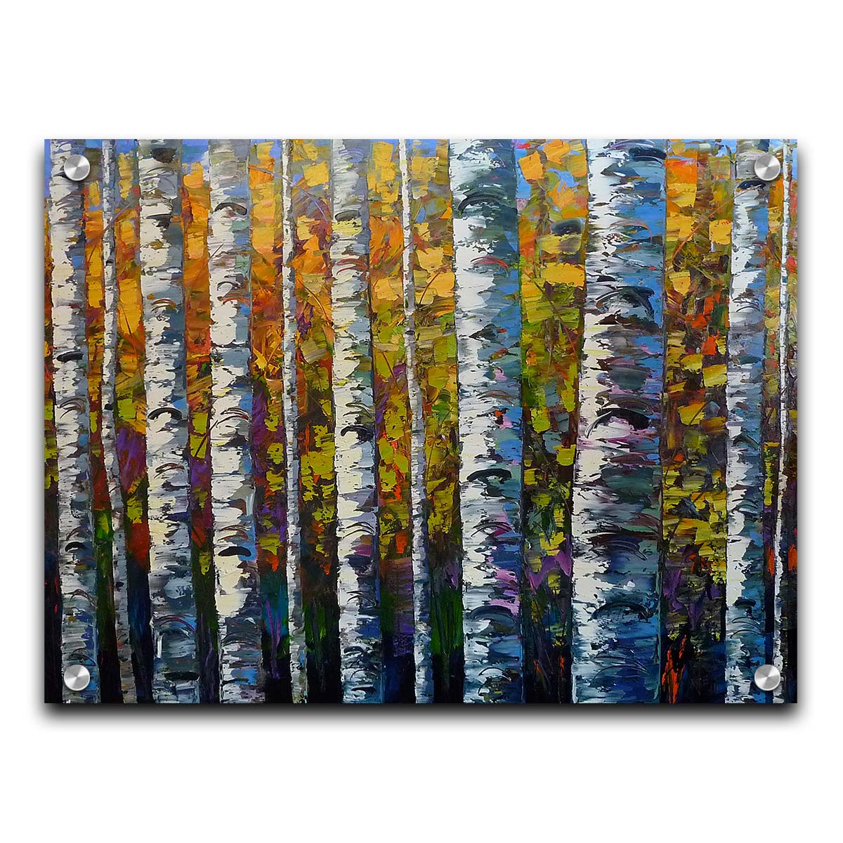 A painting of a dense forest of birch trees, close up on their parallel trunks and peeling bark. Their colorful leaves creating a stunning display of yellows, greens, blues, and purples. Printed on acrylic.