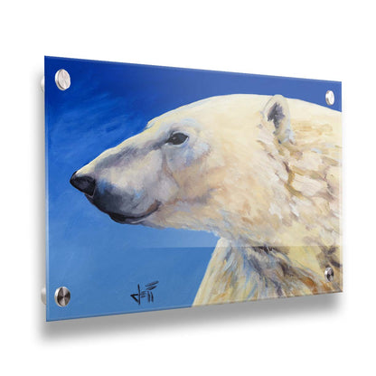 A portrait painting of a polar bear, set against a cool blue background. The warm tone of the bear's fur contrasts the cool of the blue. Printed on acrylic.