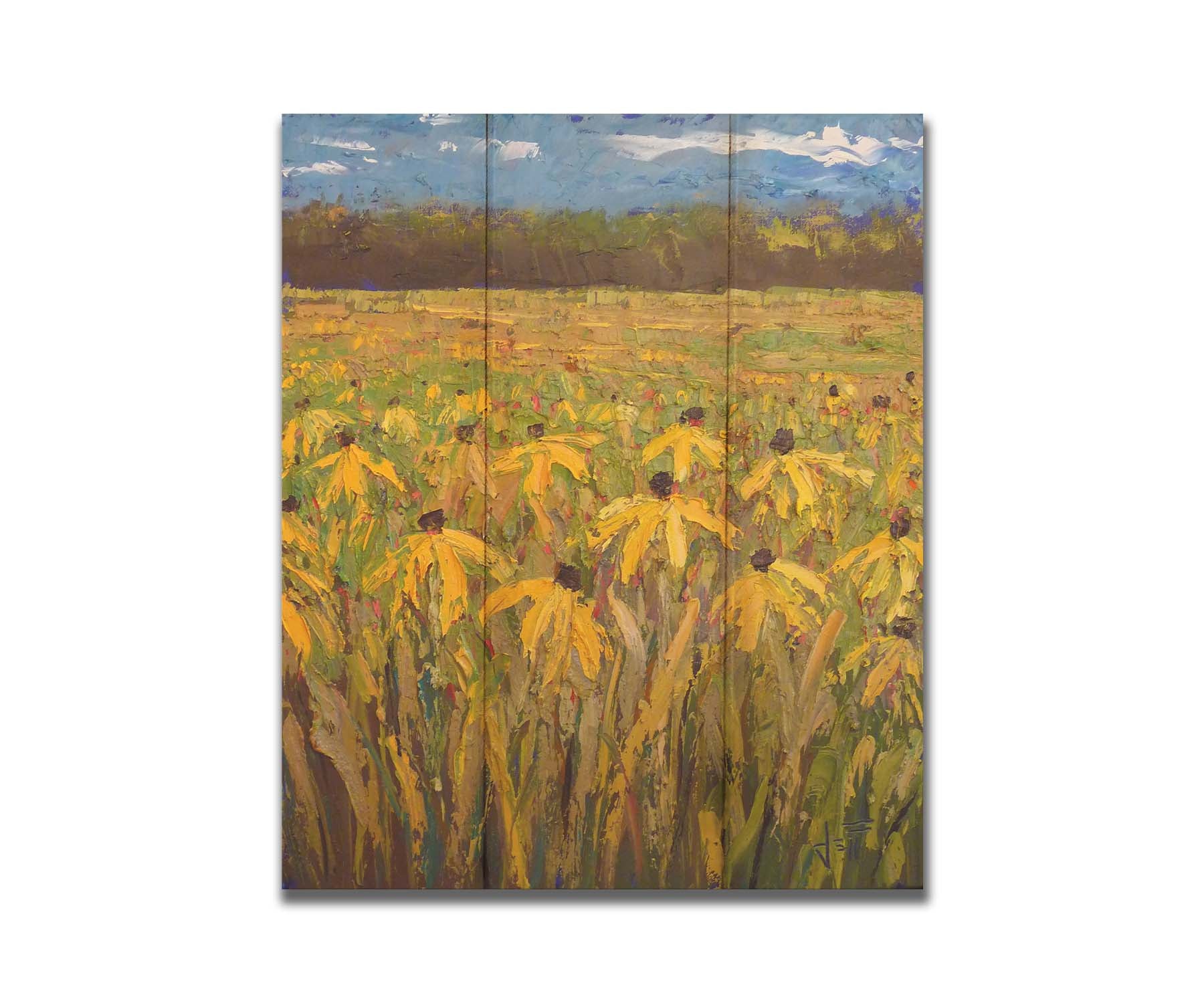 A painting of an expansive field of yellow coneflowers, bordered by woods on the horizon. Printed on a box board.