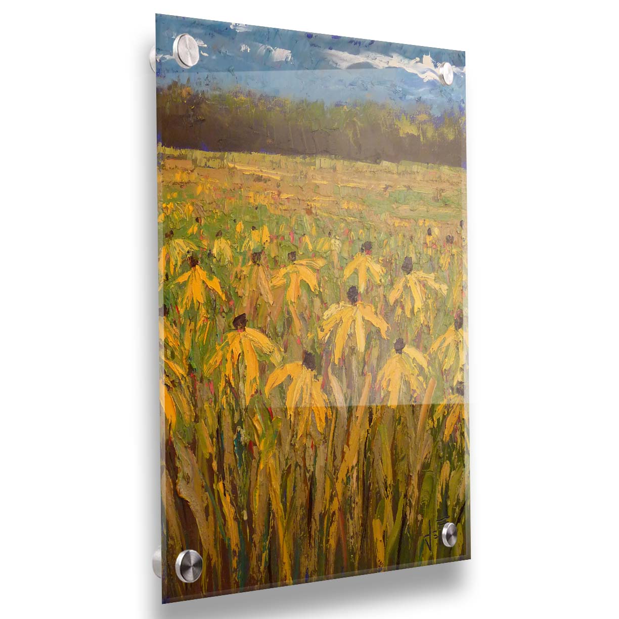 A painting of an expansive field of yellow coneflowers, bordered by woods on the horizon. Printed on acrylic.