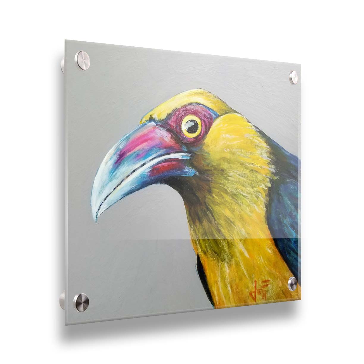 A painting of a striking saffron toucanet, whose yellow feathers pop against the neutral gray background. The light reflecting off its eye gives it an intense, intrigued, lifelike gaze. Printed on acrylic.