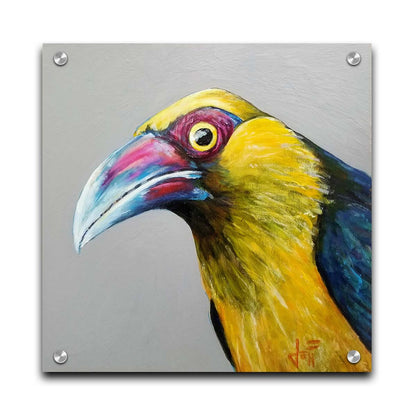 A painting of a striking saffron toucanet, whose yellow feathers pop against the neutral gray background. The light reflecting off its eye gives it an intense, intrigued, lifelike gaze. Printed on acrylic.