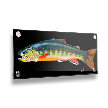 A painting of a colorful brook trout– in green, yellow, and orange– against a bold black background. Printed on acrylic.