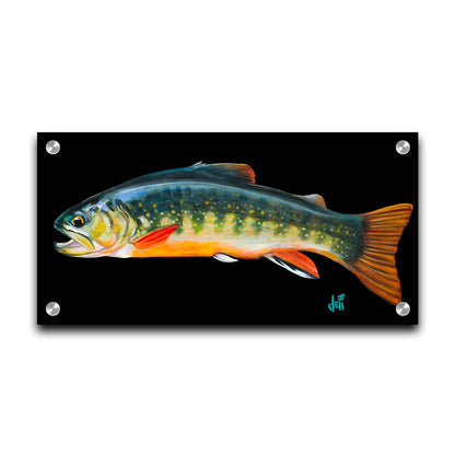 A painting of a colorful brook trout– in green, yellow, and orange– against a bold black background. Printed on acrylic.