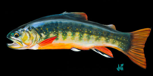 A painting of a colorful brook trout– in green, yellow, and orange– against a bold black background.