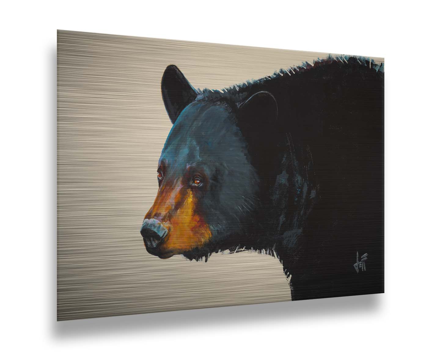 A painting of a black bear against an eggshell background. This portrait is in a 3/4s profile, with light highlighting the shapes and textures of the bear's face and fur with shimmering blue. Printed on metal.