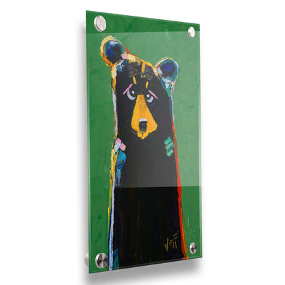 A stylized portrait painting of a black bear depicted as a simplified shape, accented by a spectrum of colorful outlines, and set against a bright green background. Printed on acrylic.