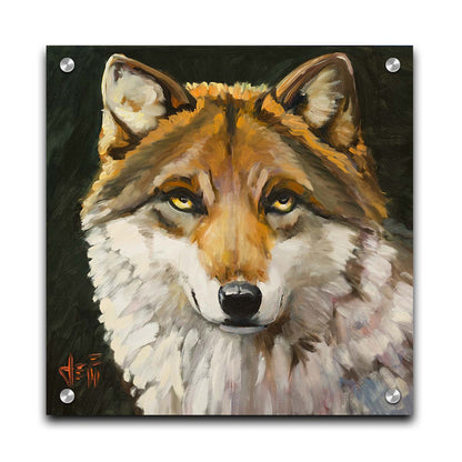 A painting of a wolf gazing forward. The warm brown and white fur, depicted through soft, fluffy brush strokes, adds a tactile sensation to the work. Printed on acrylic.