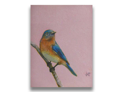 A portrait painting of an eastern bluebird with blue and orange feathers, delicately perched on a twig against a dusty rose pink background. Printed on canvas.