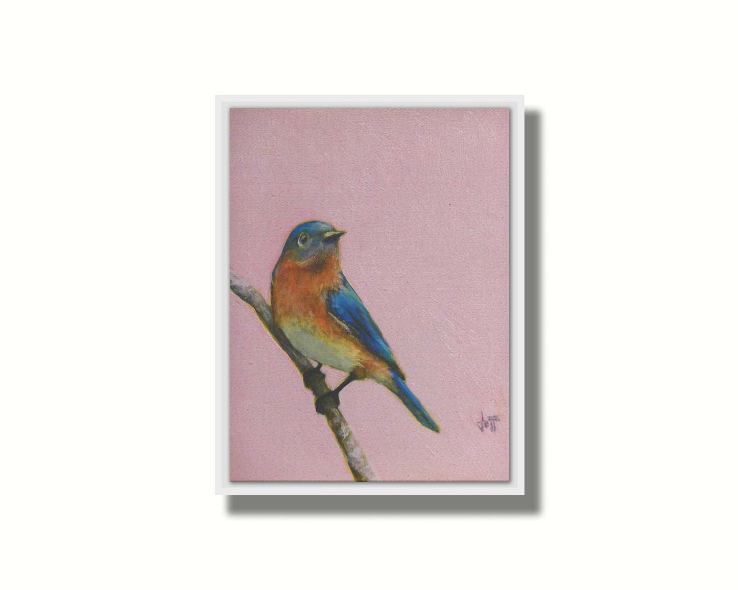 A portrait painting of an eastern bluebird with blue and orange feathers, delicately perched on a twig against a dusty rose pink background. Printed on canvas in a float frame.