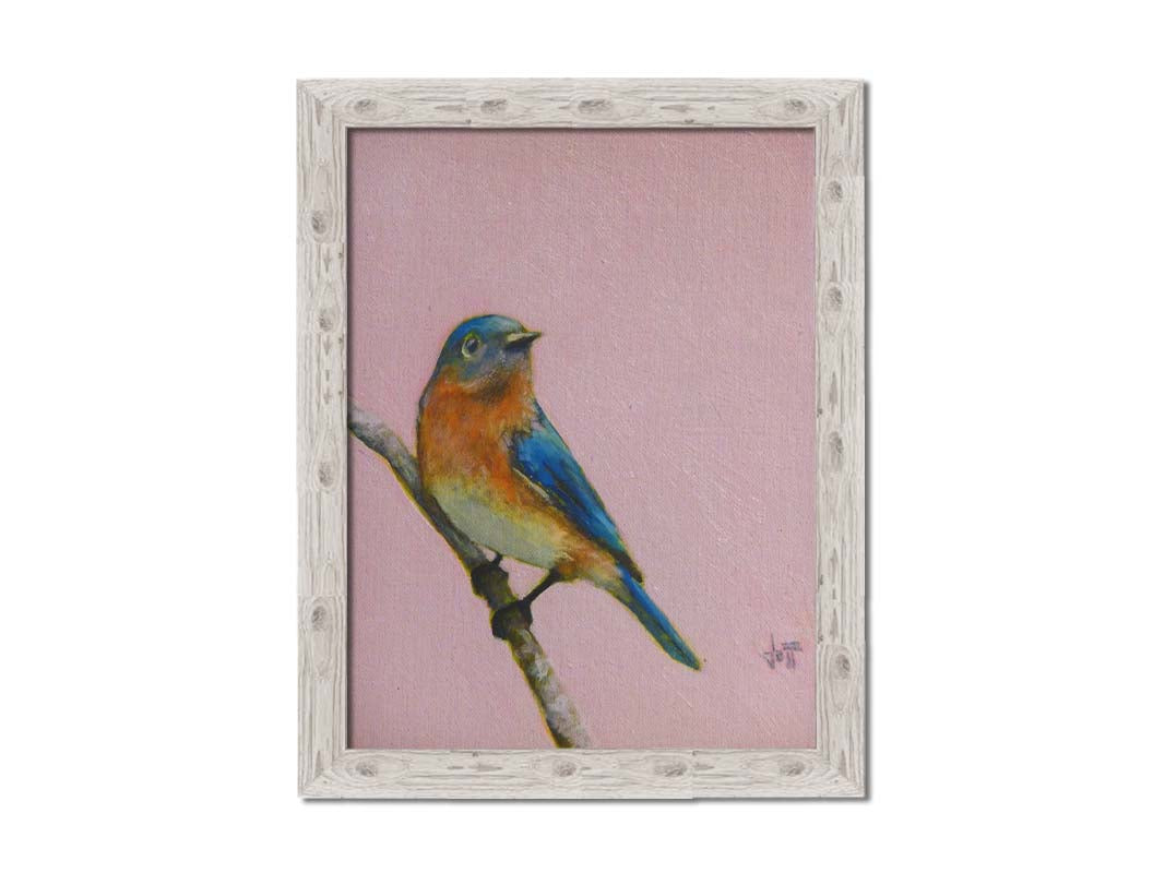 A portrait painting of an eastern bluebird with blue and orange feathers, delicately perched on a twig against a dusty rose pink background. Printed on canvas and framed.