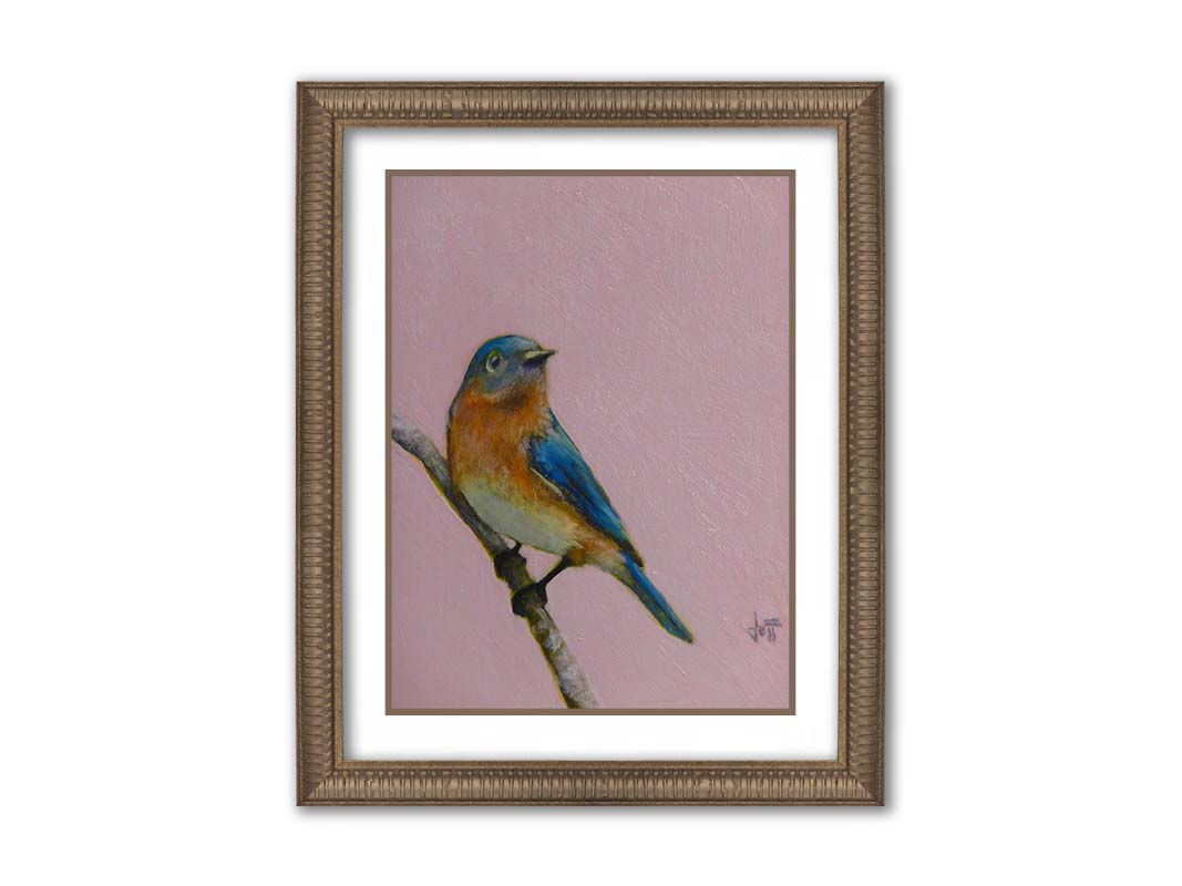 A portrait painting of an eastern bluebird with blue and orange feathers, delicately perched on a twig against a dusty rose pink background. Printed on paper, matted, and framed.