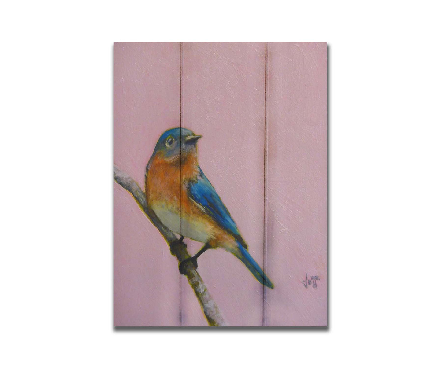 A portrait painting of an eastern bluebird with blue and orange feathers, delicately perched on a twig against a dusty rose pink background. Printed on a box board.