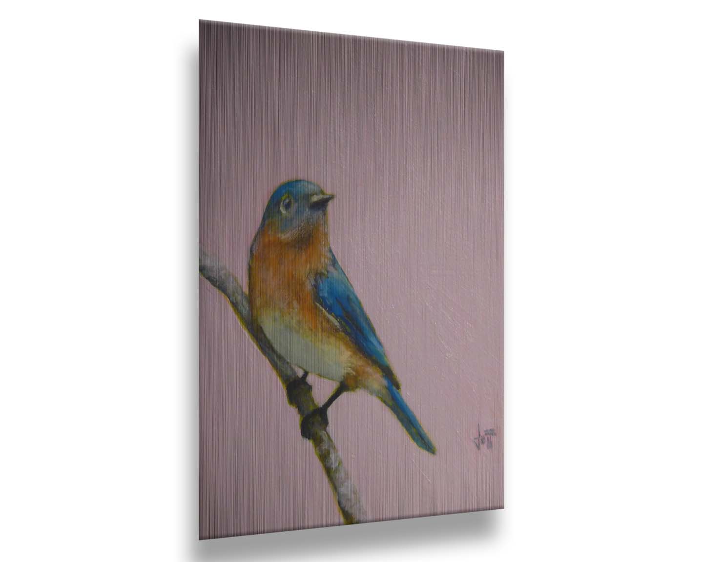 A portrait painting of an eastern bluebird with blue and orange feathers, delicately perched on a twig against a dusty rose pink background. Printed on metal.