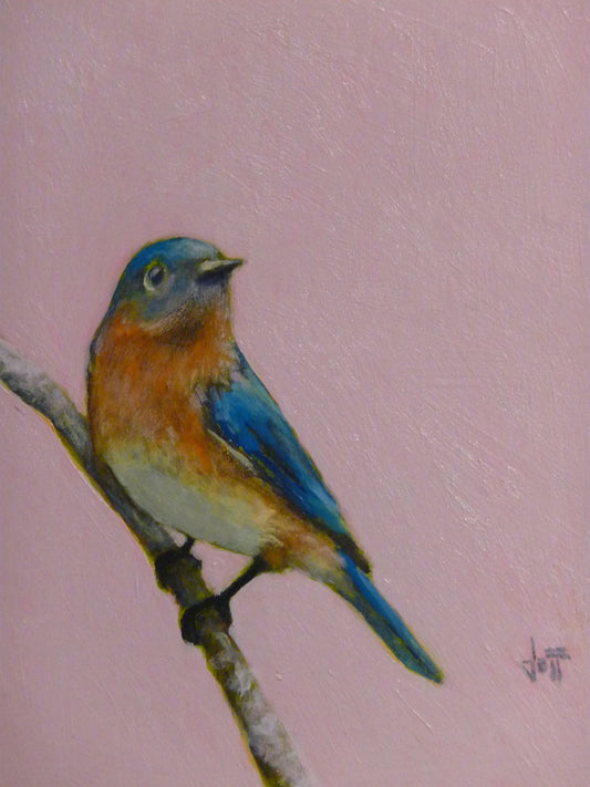 A portrait painting of an eastern bluebird with blue and orange feathers, delicately perched on a twig against a dusty rose pink background.