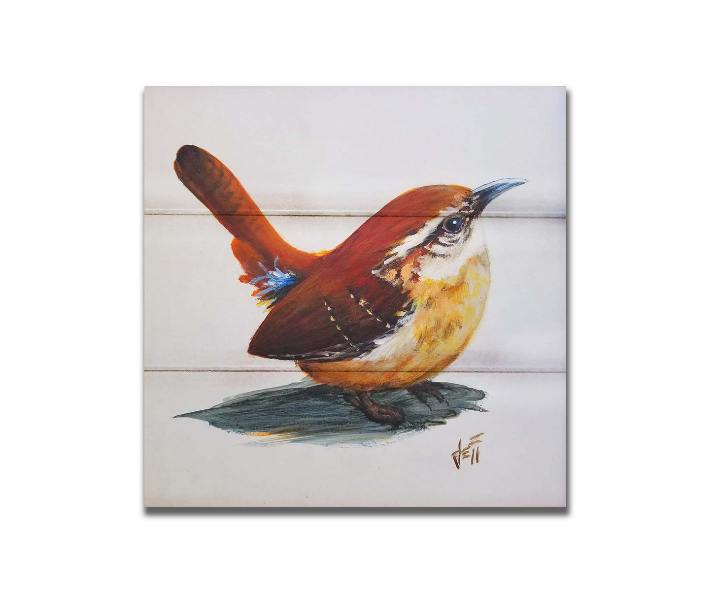 A painting of a Carolina wren bird with warm brown feathers against a white background. Printed on a box board.