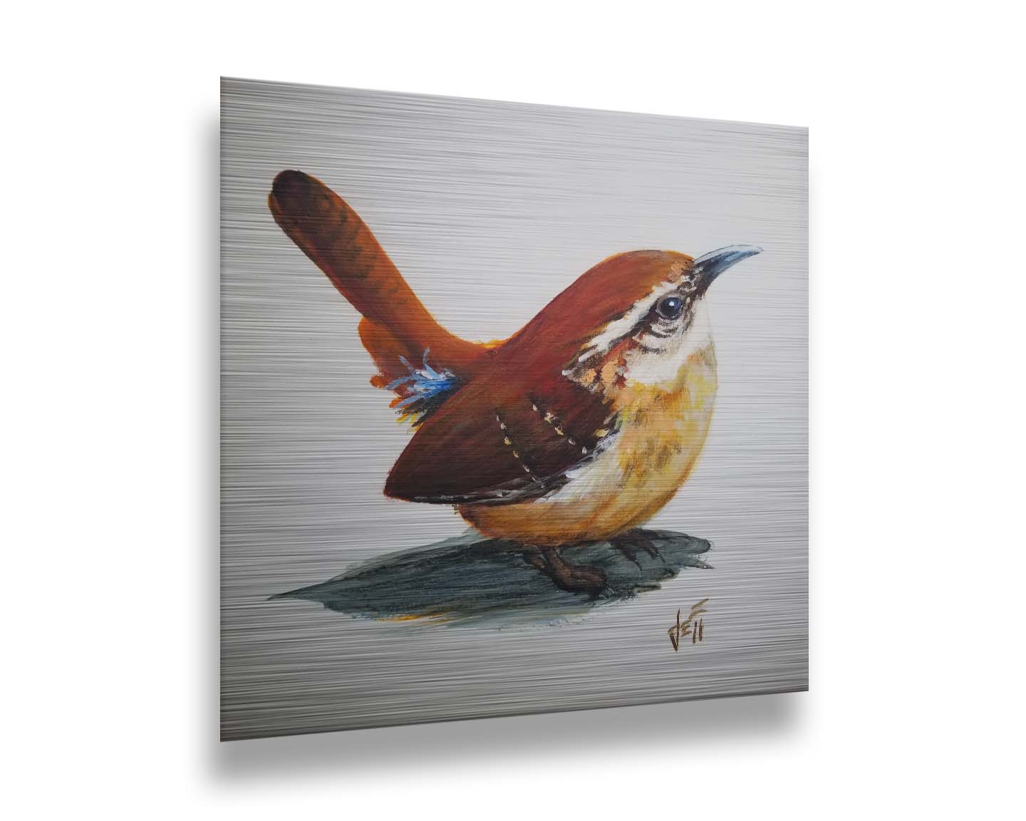 A painting of a Carolina wren bird with warm brown feathers against a white background. Printed on metal.