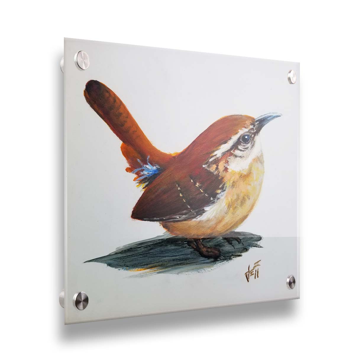 A painting of a Carolina wren bird with warm brown feathers against a white background. Printed on acrylic.