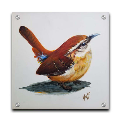 A painting of a Carolina wren bird with warm brown feathers against a white background. Printed on acrylic.