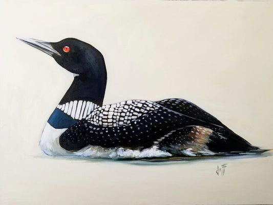 A lifelike portrait of a swimming loon with black and white feathers against a white background.