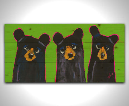 Three Little Bears by Jeff Boutin