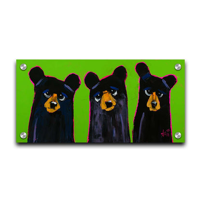 Three Little Bears by Jeff Boutin