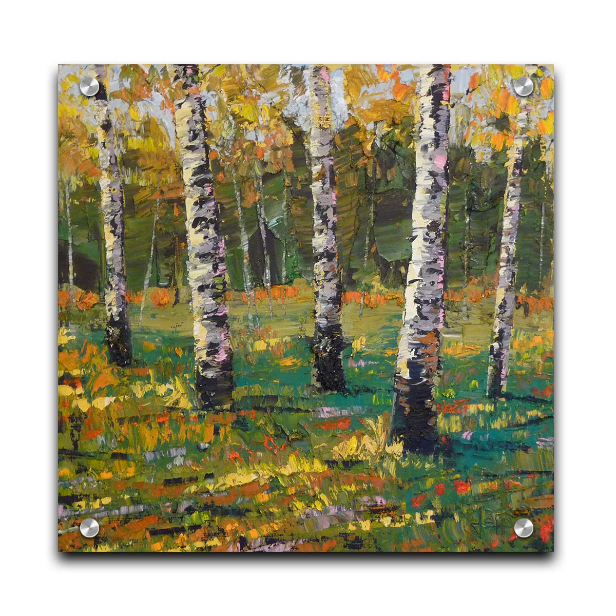 An expressive impasto landscape painting of a birch forest, with bold yellow leaves growing from the white wood. Printed on acrylic.