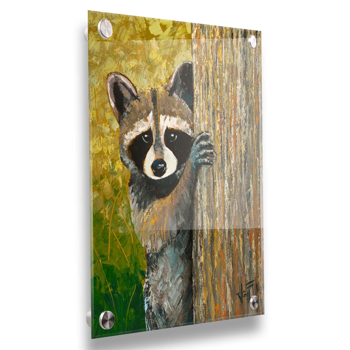 A painting of a curious raccoon, peeking around a tree trunk, with a background full of vibrant foliage. Printed on acrylic.