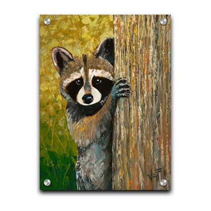 A painting of a curious raccoon, peeking around a tree trunk, with a background full of vibrant foliage. Printed on acrylic.