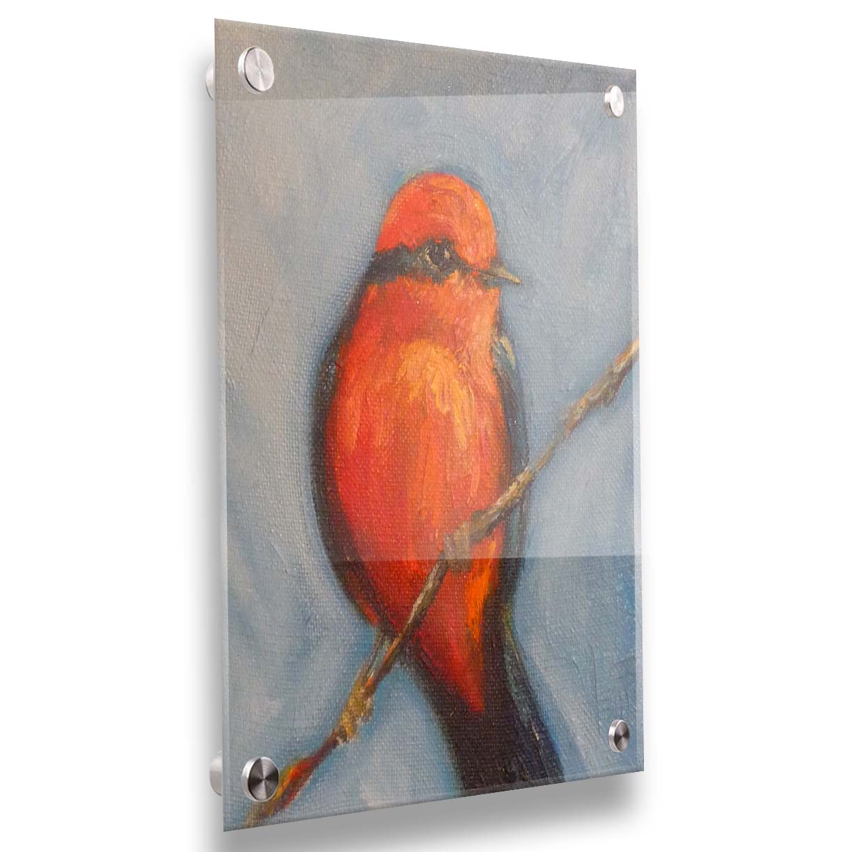 A portrait painting of a vermilion flycatcher perched on a twig against a serene gray and blue background. Printed on acrylic.